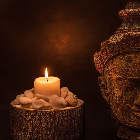 Cristal Vieira & Otel Vieira de Leiria